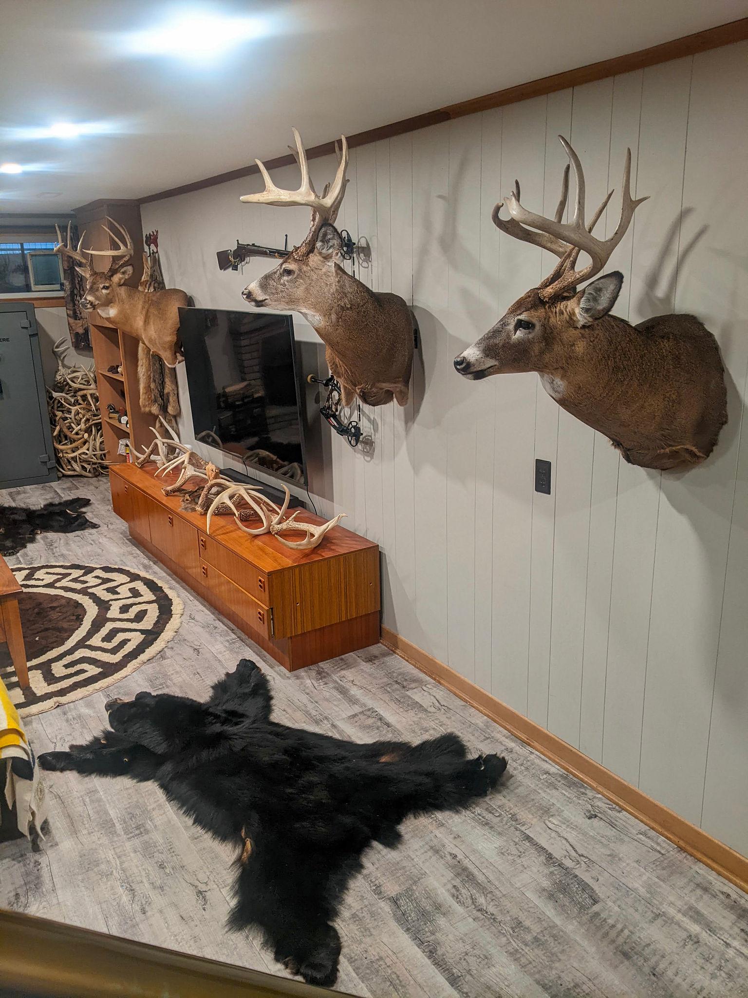 Taxidermist